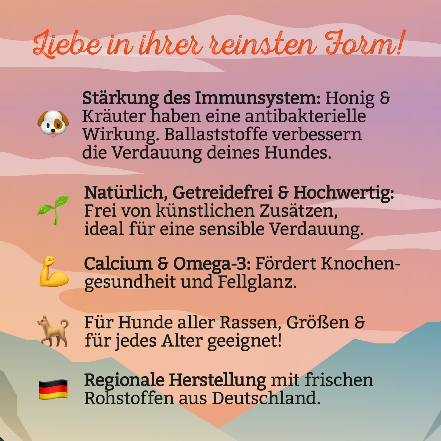 Mini Deluxe Kekse mit Pute