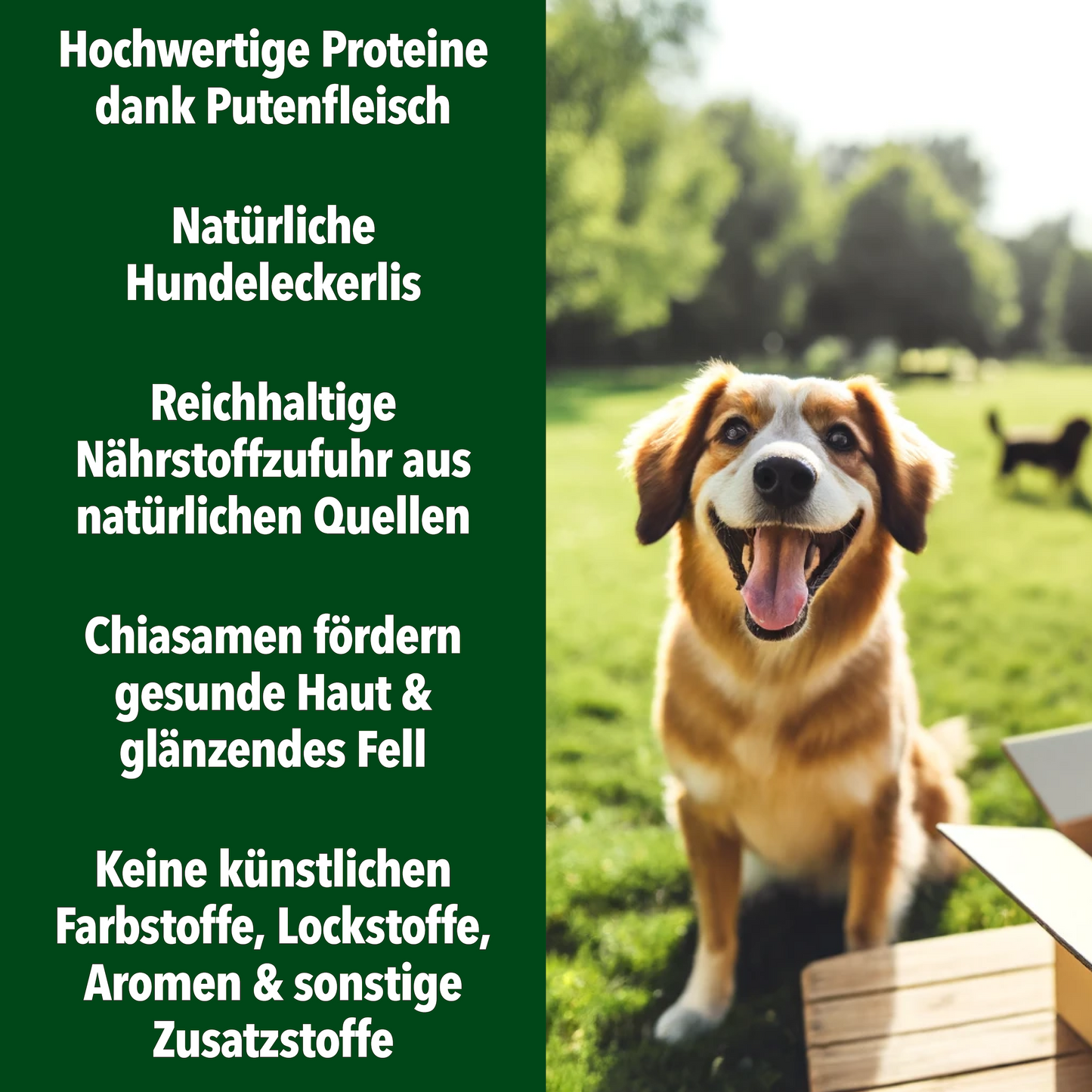 Mini Deluxe Kekse mit Pute