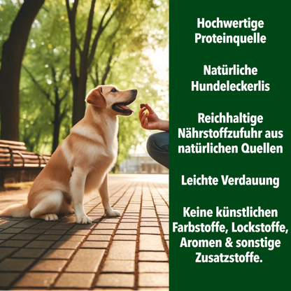 Premium Entdecker Snack-Set für Hunde 5-tlg.