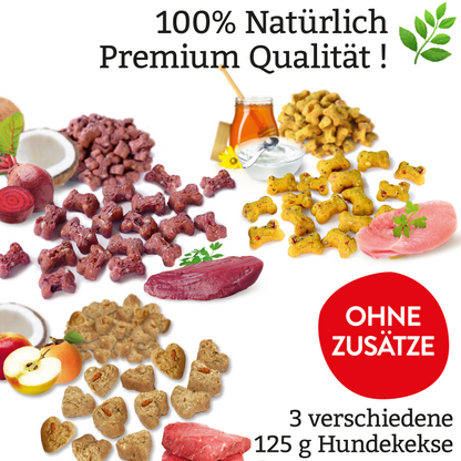 Premium Entdecker Snack-Set für Hunde 5-tlg.